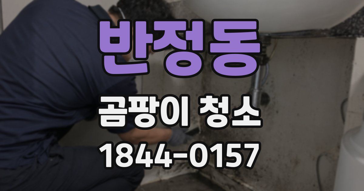 반정동 곰팡이 청소