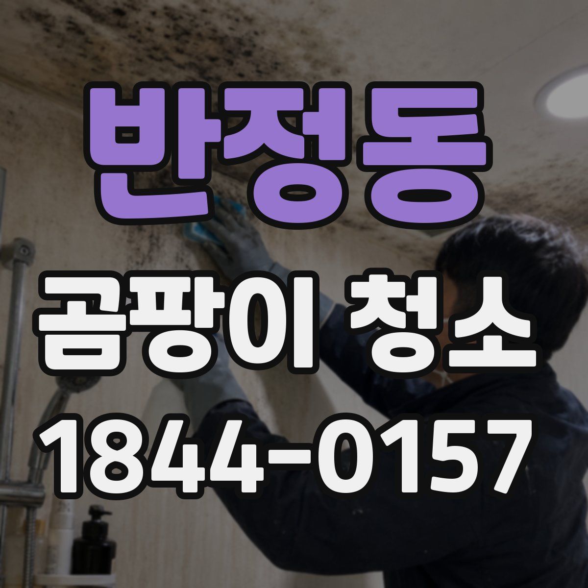 반정동 곰팡이 청소