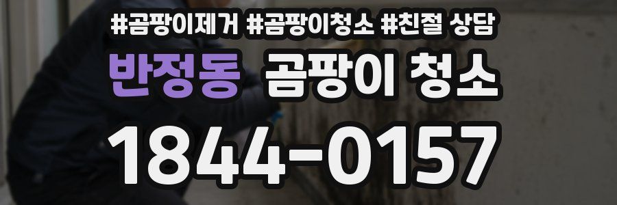 반정동 곰팡이 청소