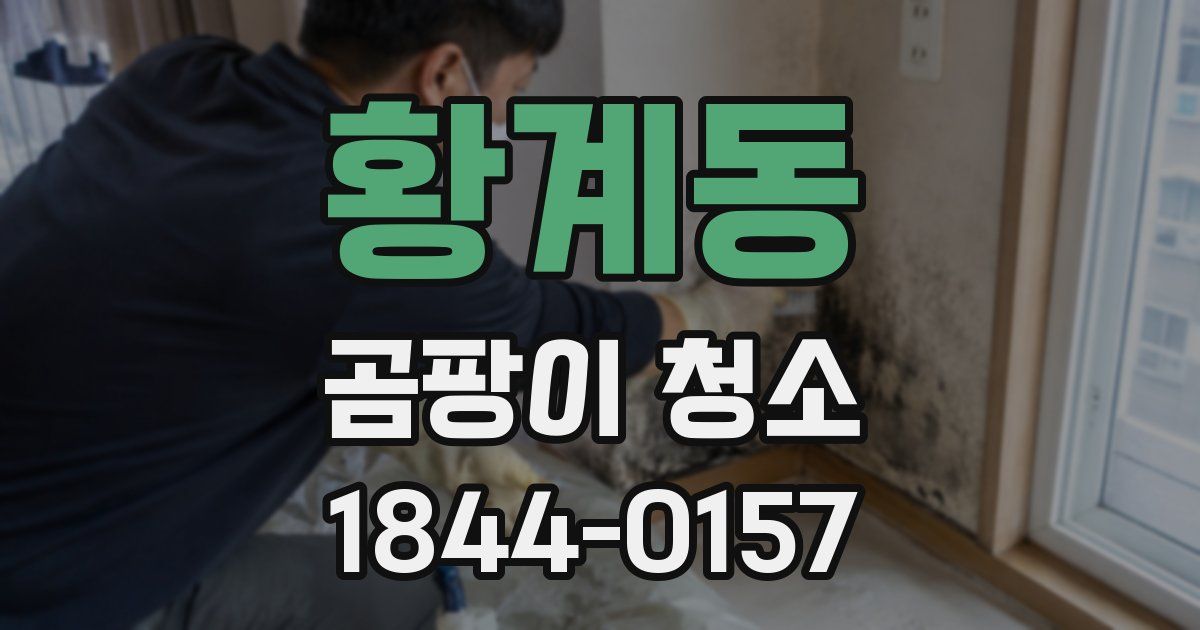 황계동 곰팡이 청소