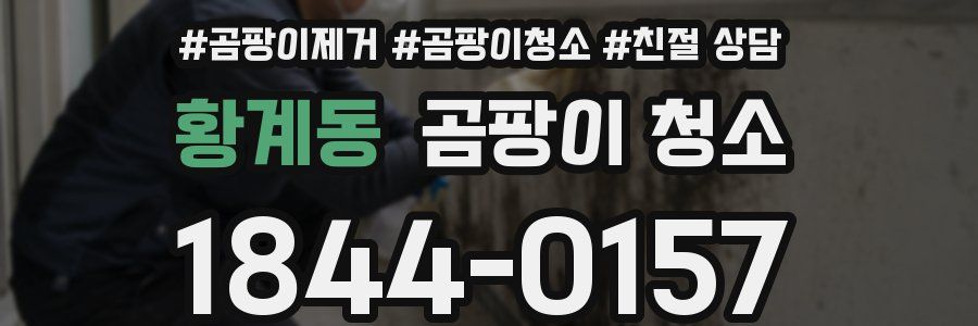 황계동 곰팡이 청소