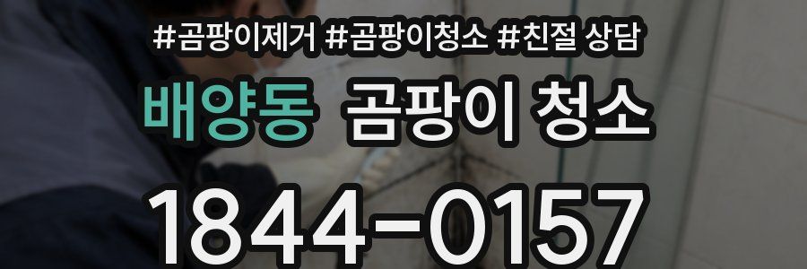 배양동 곰팡이 청소