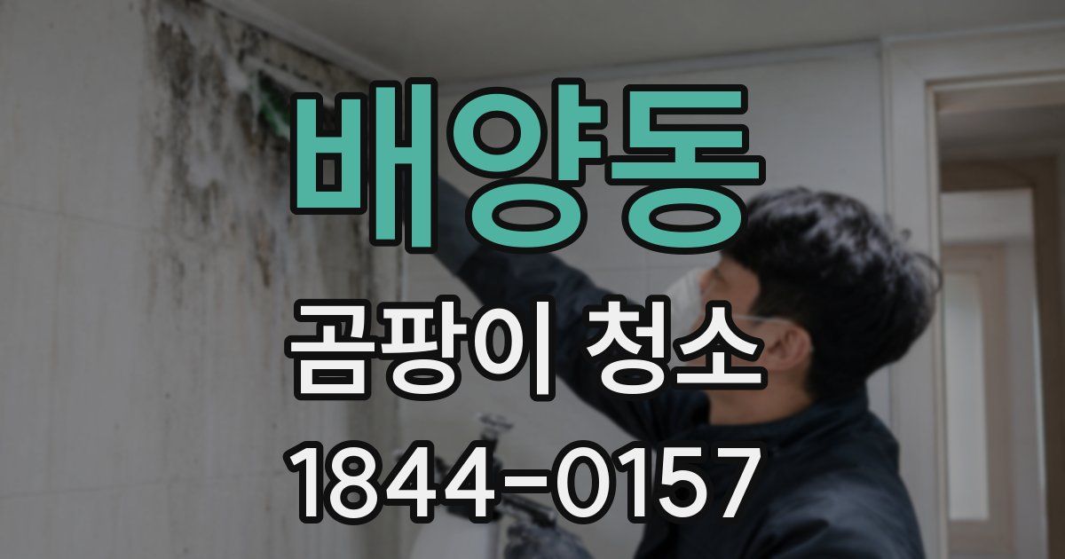 배양동 곰팡이 청소