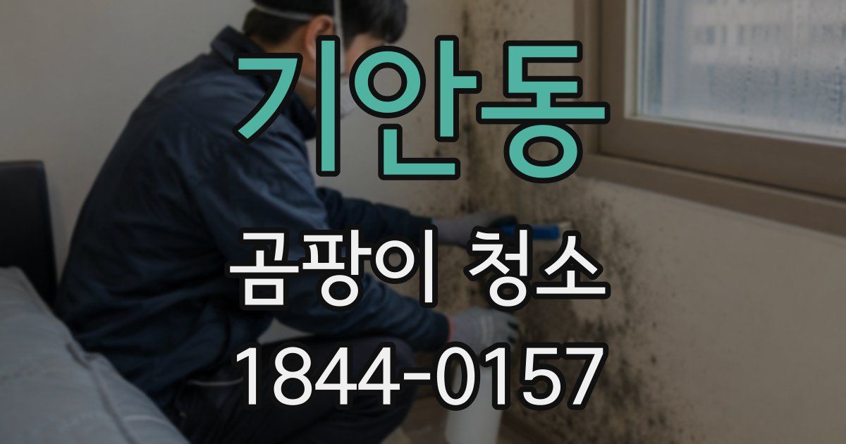 기안동 곰팡이 청소