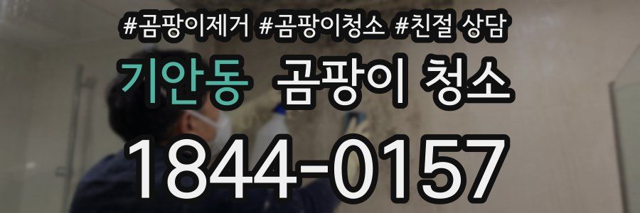 기안동 곰팡이 청소