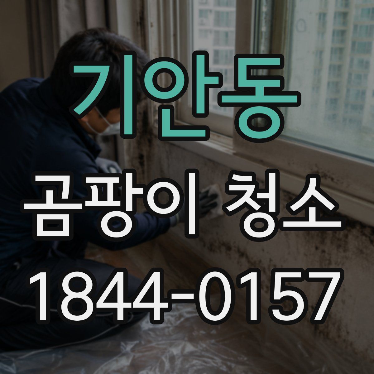 기안동 곰팡이 청소