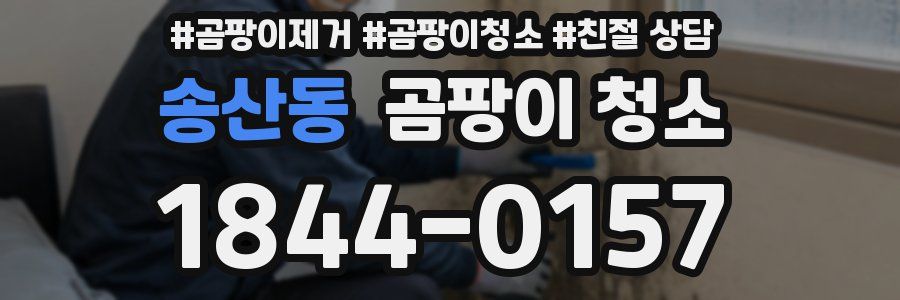 송산동 곰팡이 청소