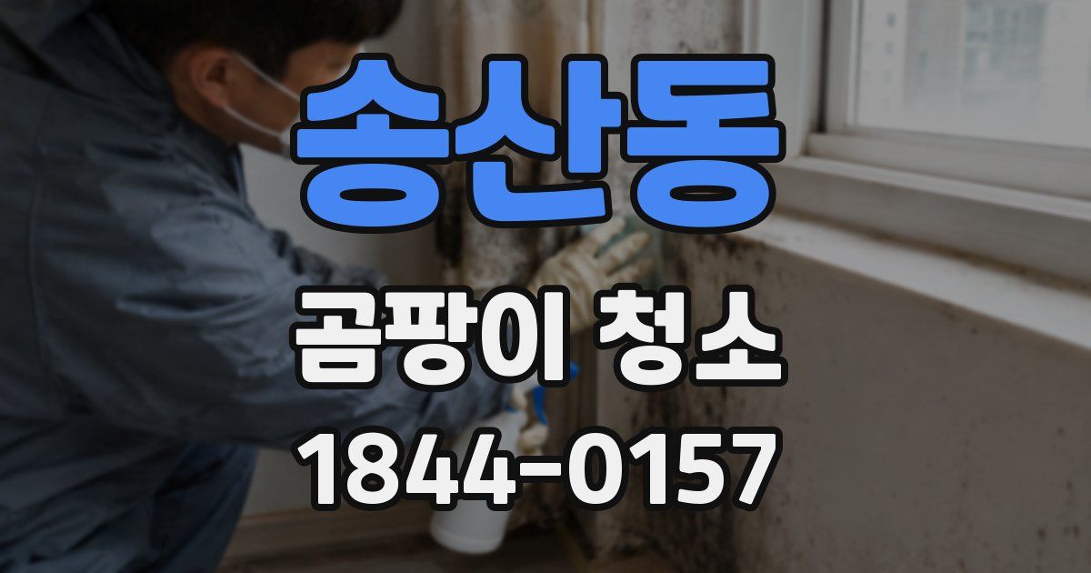 송산동 곰팡이 청소