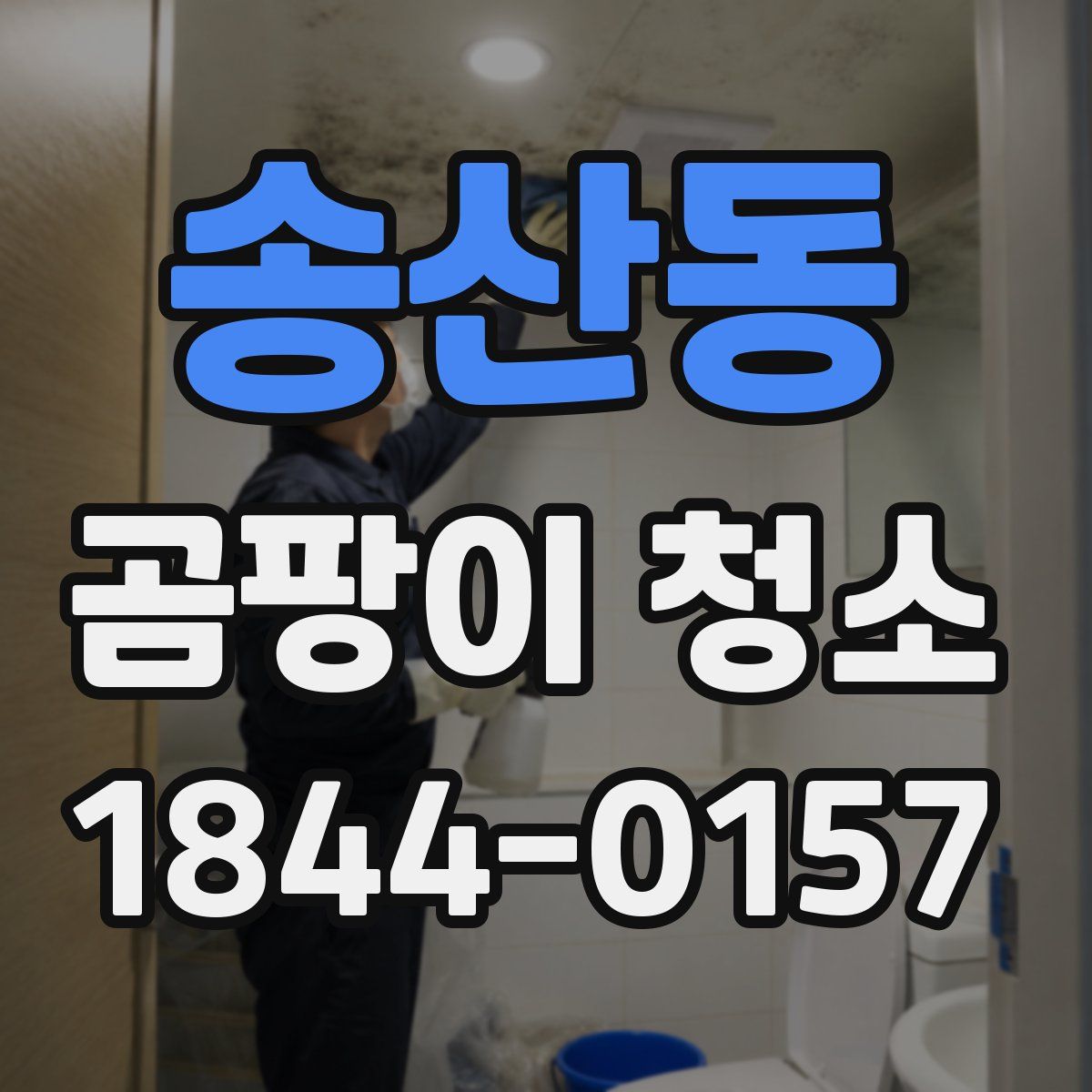 송산동 곰팡이 청소
