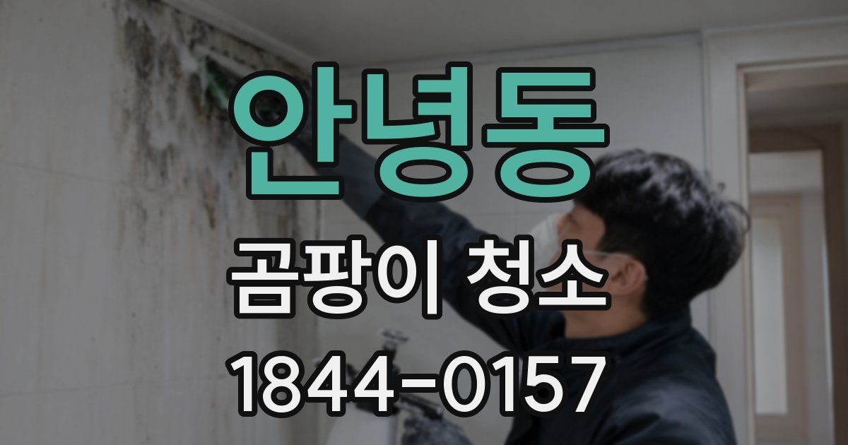 안녕동 곰팡이 청소