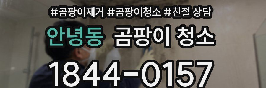 안녕동 곰팡이 청소