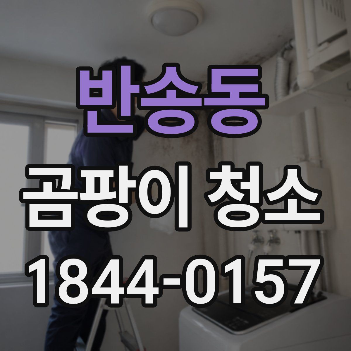반송동 곰팡이 청소