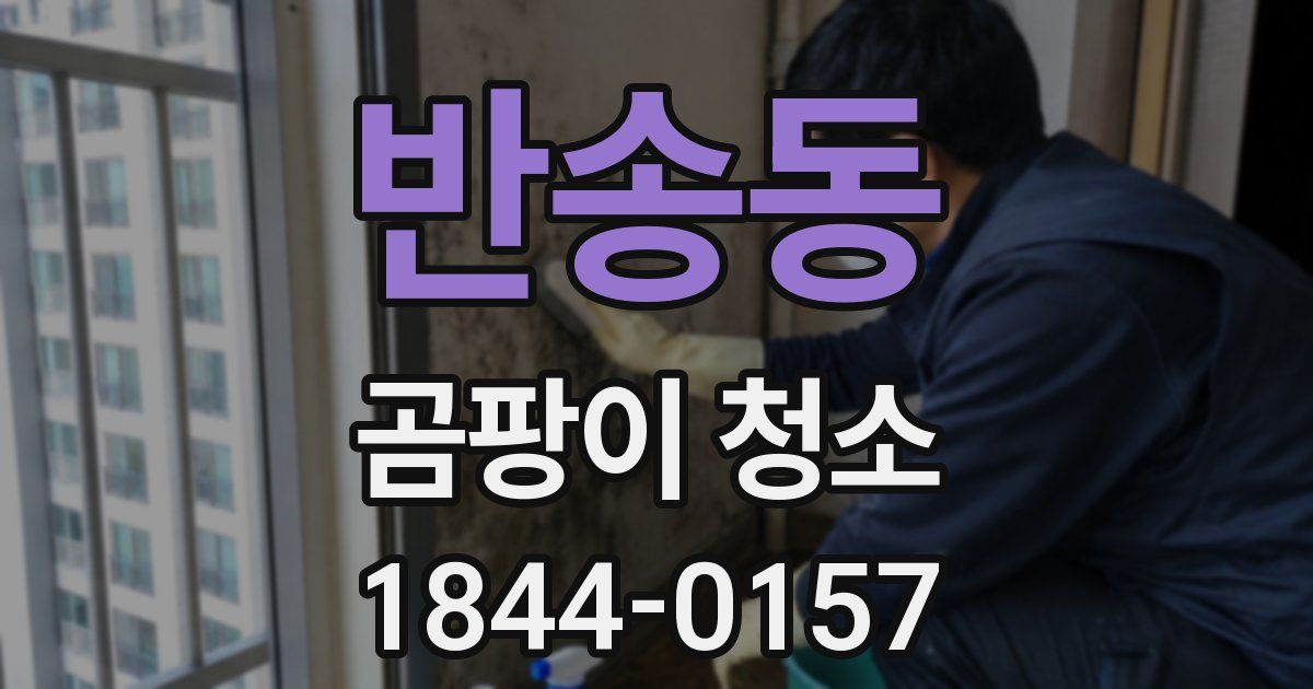 반송동 곰팡이 청소