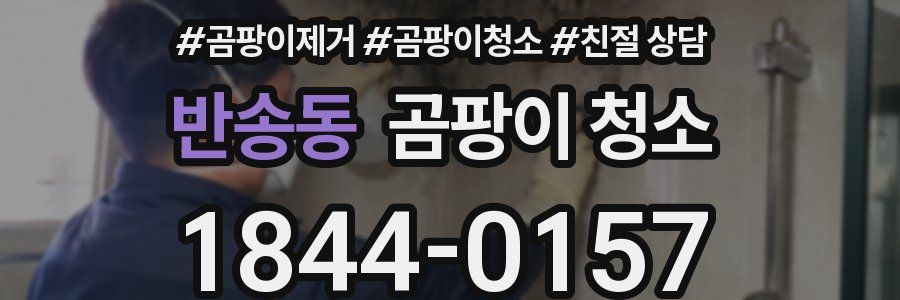 반송동 곰팡이 청소