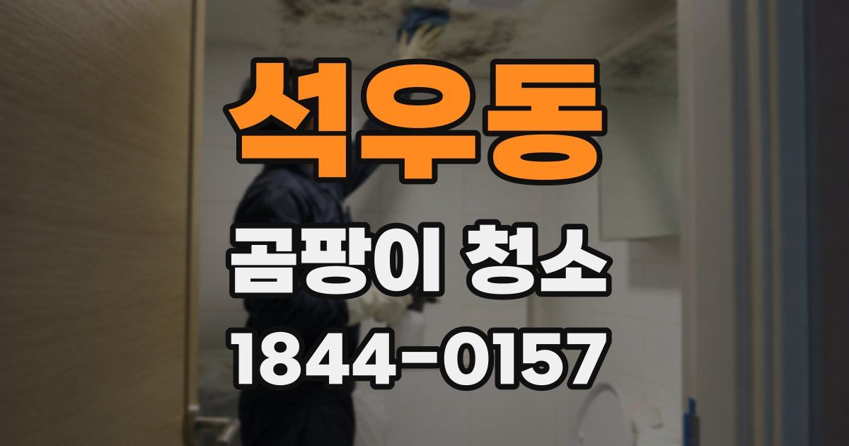 석우동 곰팡이 청소