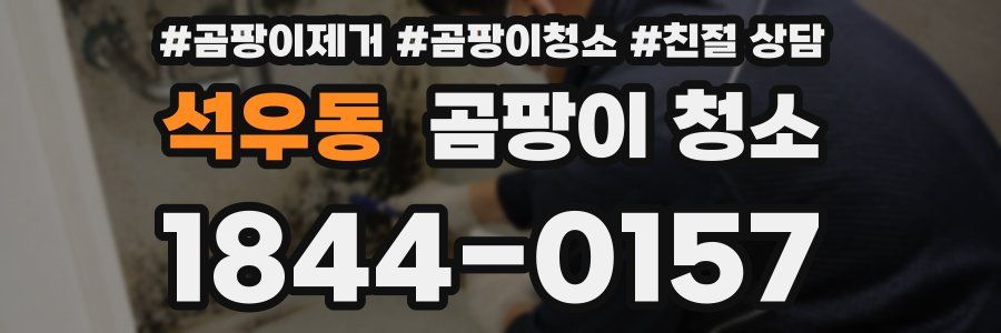 석우동 곰팡이 청소