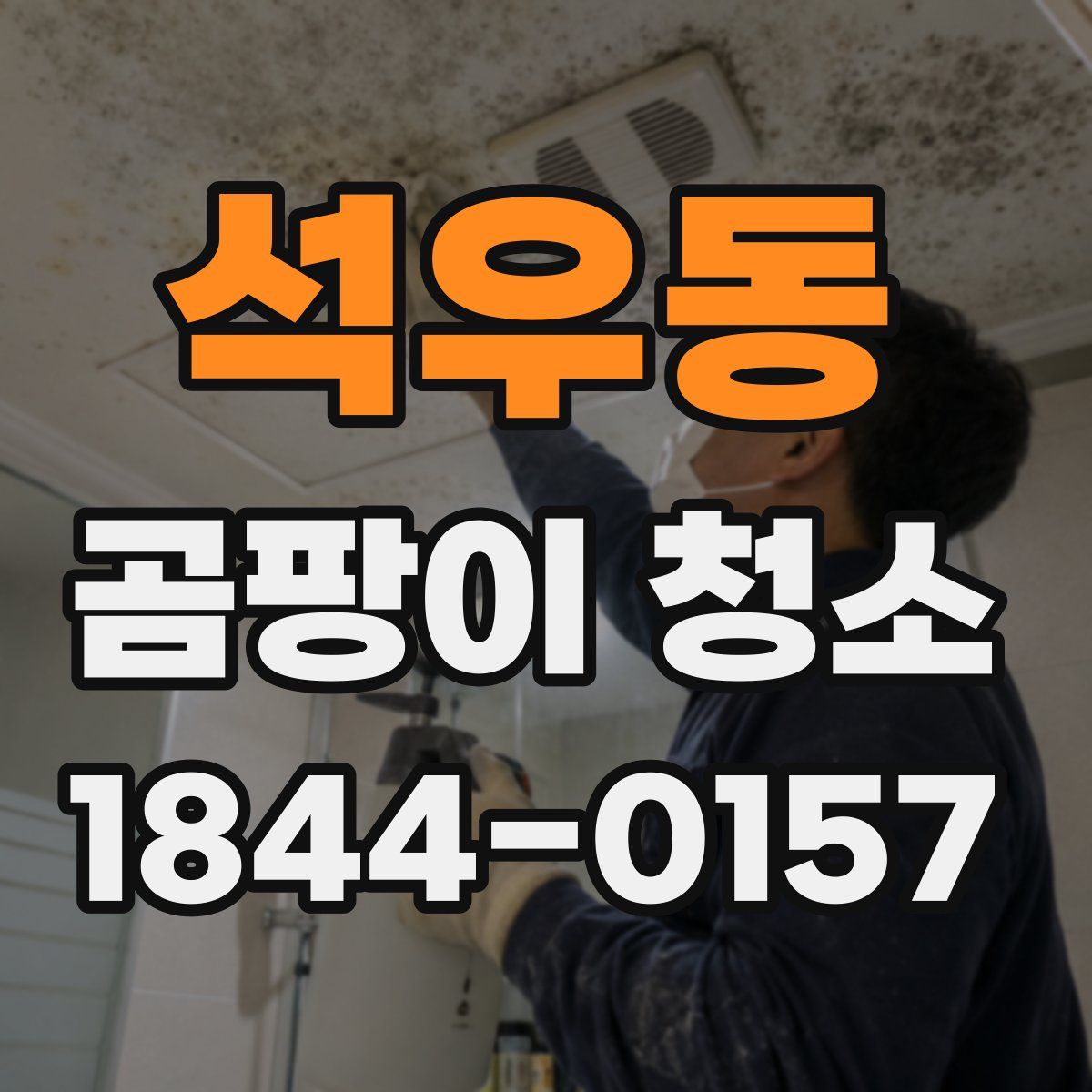 석우동 곰팡이 청소