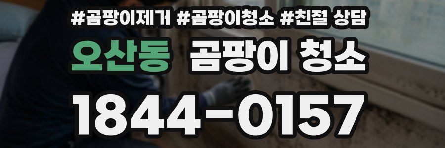 오산동 곰팡이 청소