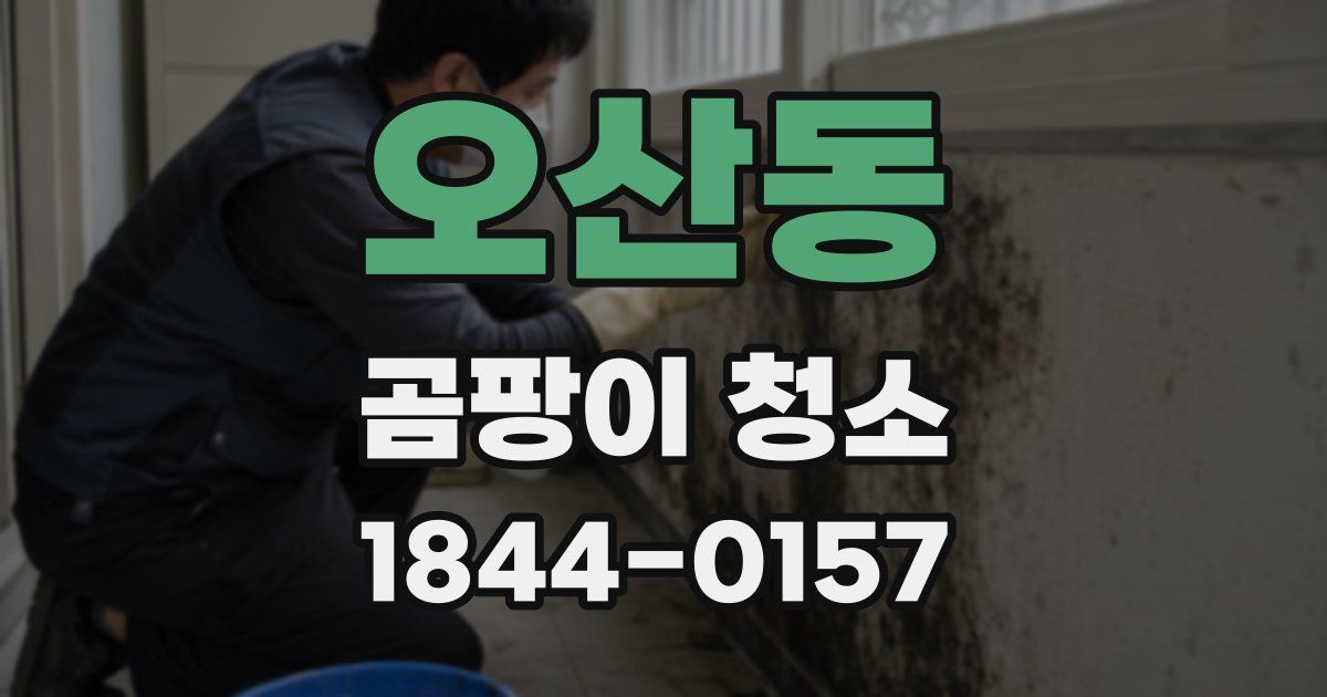 오산동 곰팡이 청소