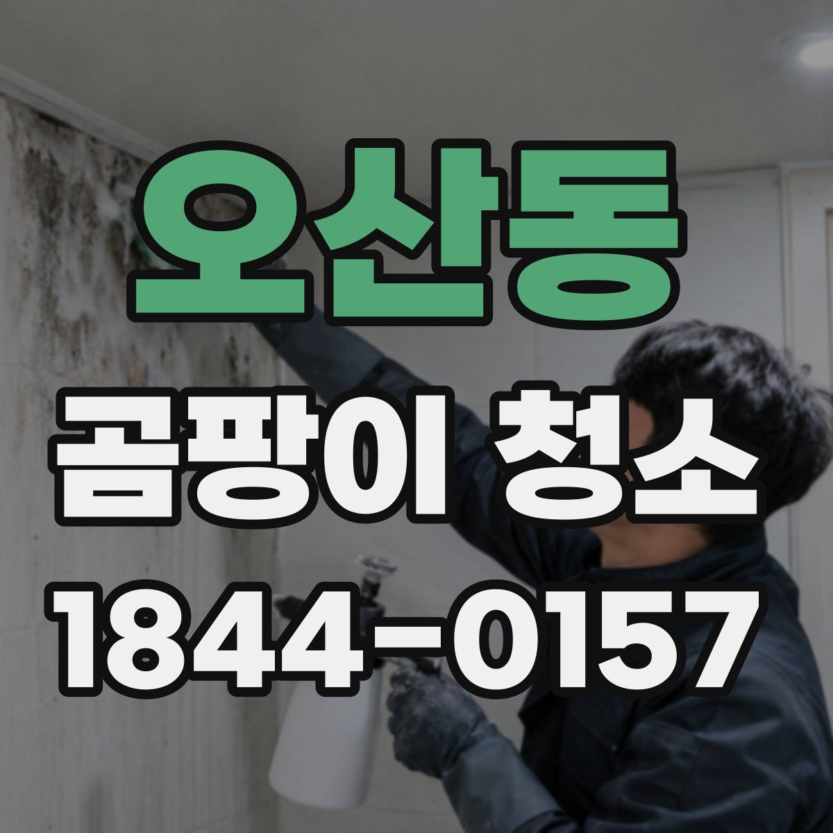 오산동 곰팡이 청소