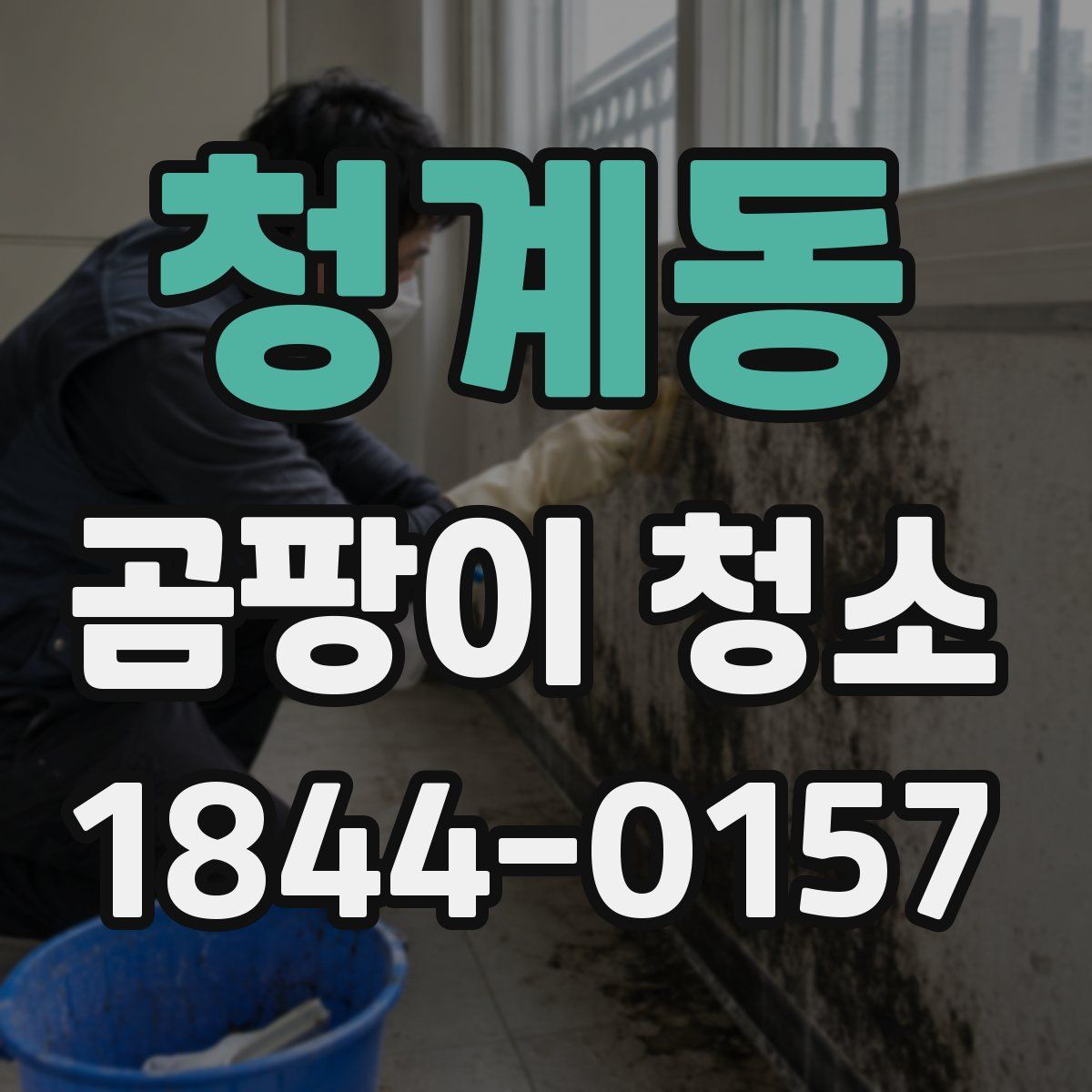 청계동 곰팡이 청소