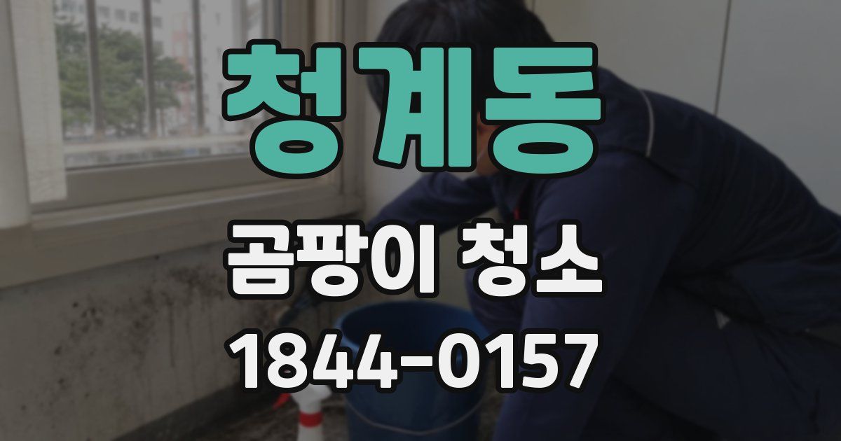 청계동 곰팡이 청소
