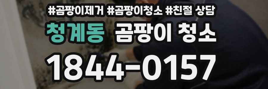 청계동 곰팡이 청소