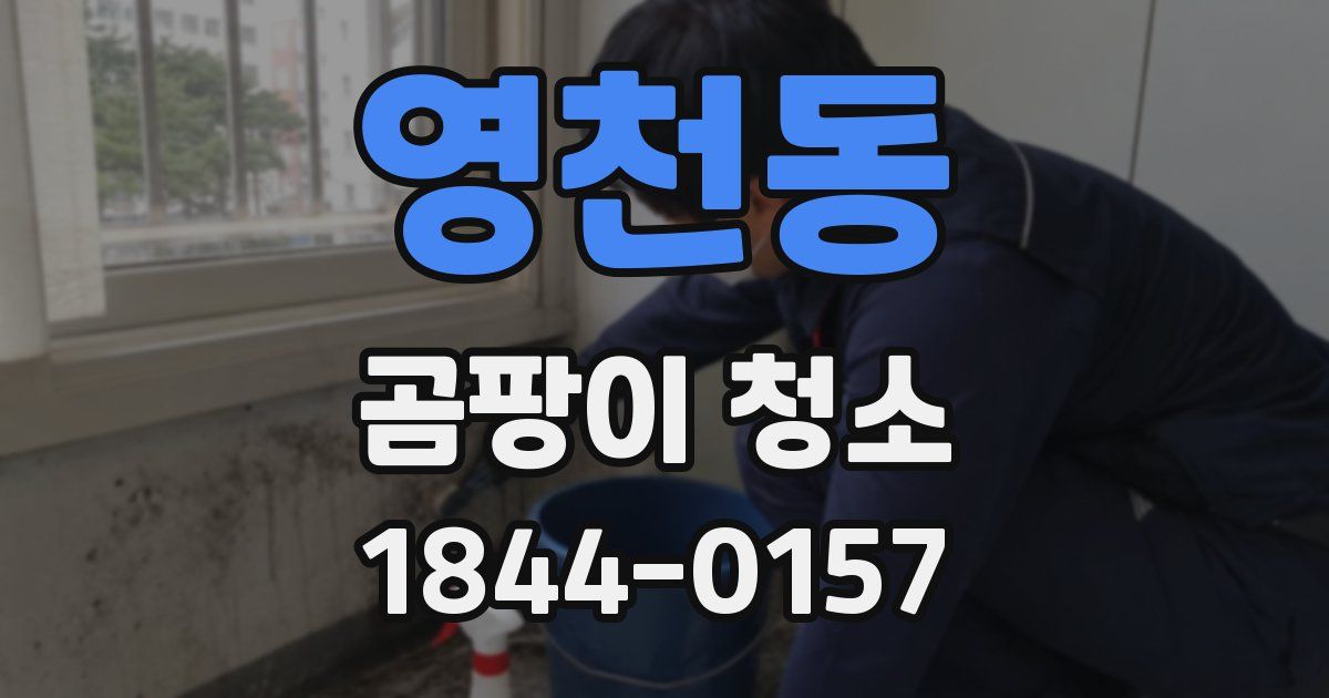 영천동 곰팡이 청소