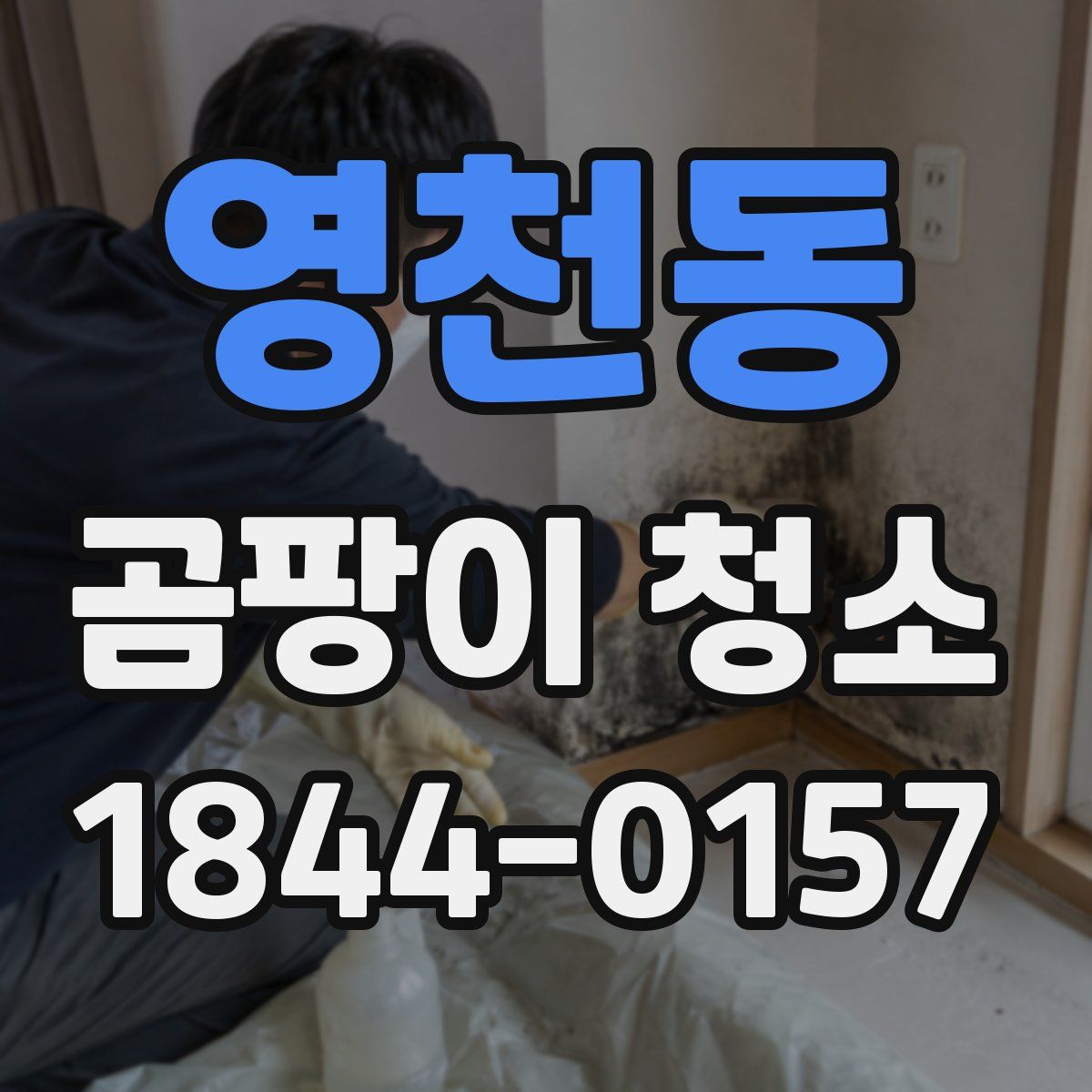 영천동 곰팡이 청소