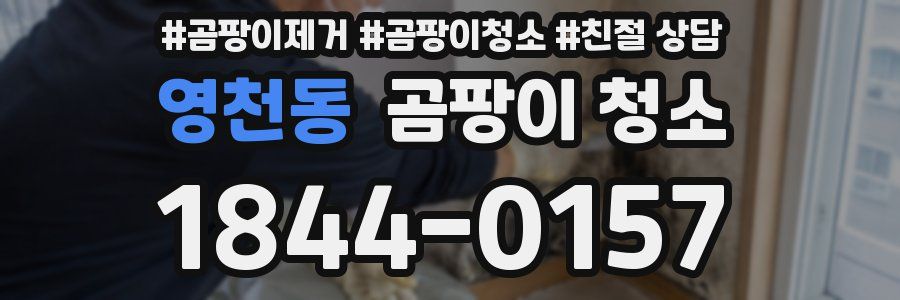 영천동 곰팡이 청소