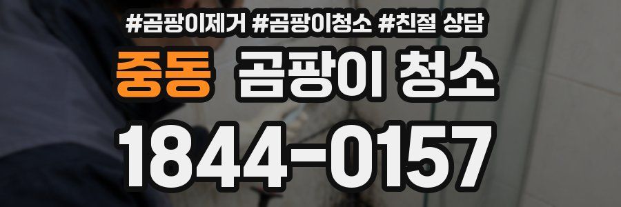 중동 곰팡이 청소