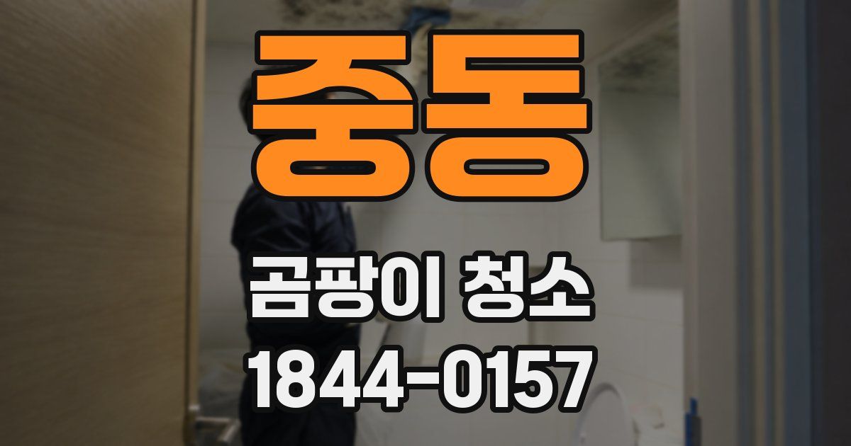 중동 곰팡이 청소