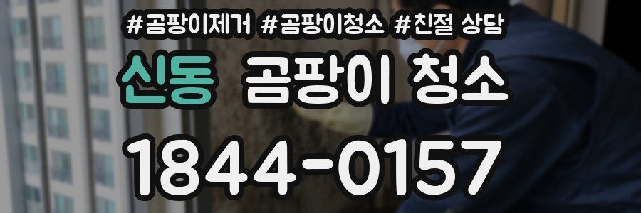 신동 곰팡이 청소