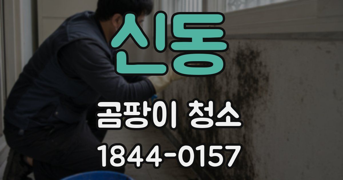 신동 곰팡이 청소