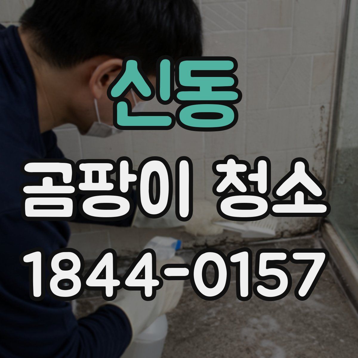 신동 곰팡이 청소