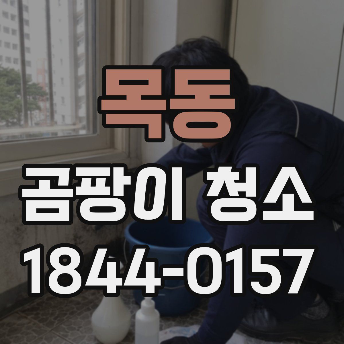 목동 곰팡이 청소