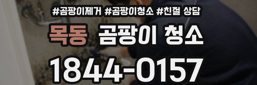 목동 곰팡이 청소