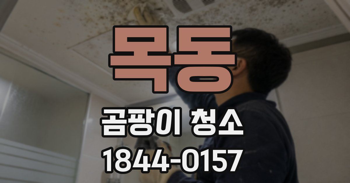 목동 곰팡이 청소