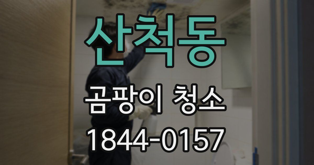 산척동 곰팡이 청소