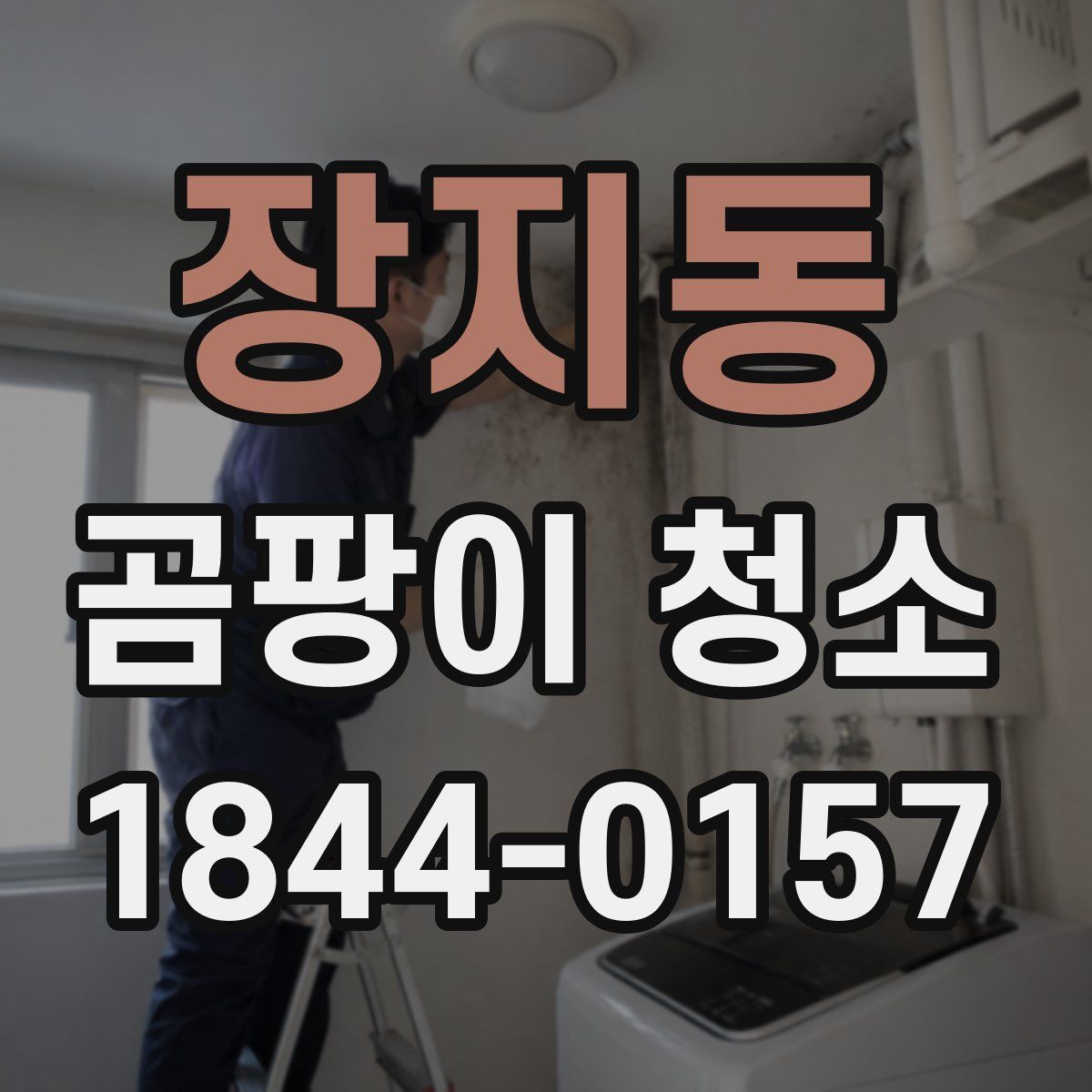 장지동 곰팡이 청소