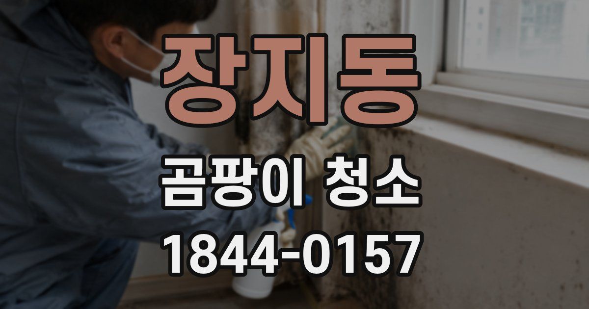 장지동 곰팡이 청소