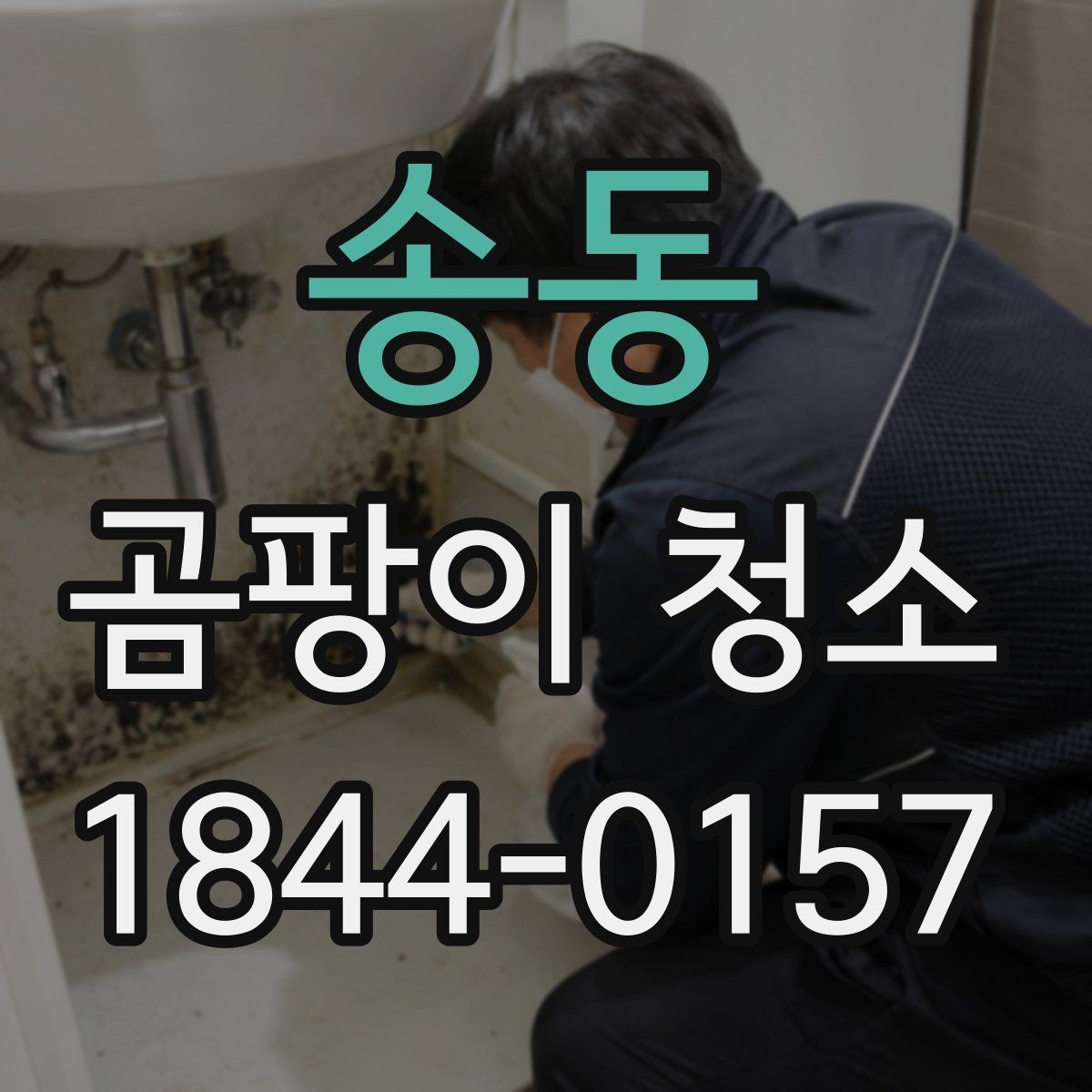 송동 곰팡이 청소 견적을 볼 때 확인할 것