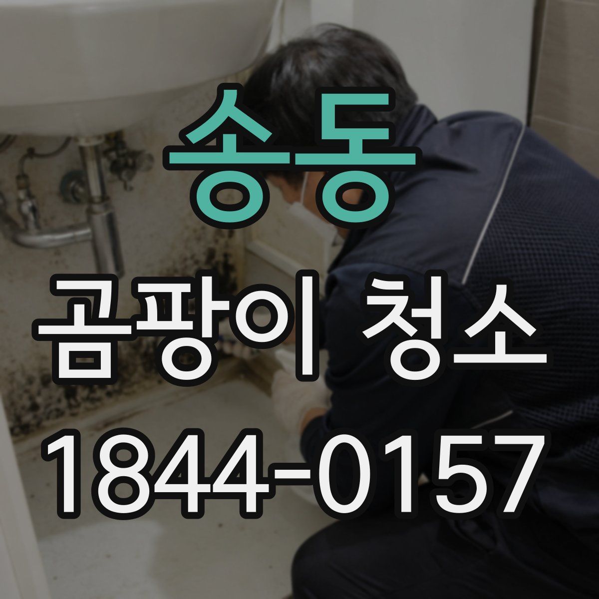 송동 곰팡이 청소
