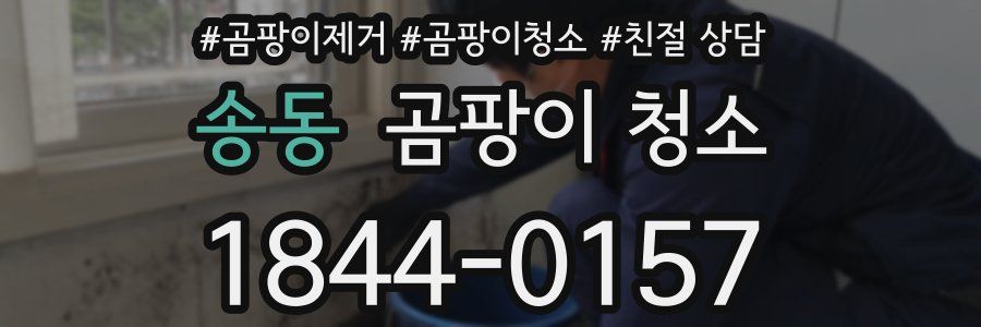 송동 곰팡이 청소