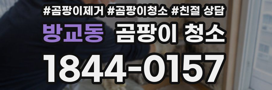 방교동 곰팡이 청소