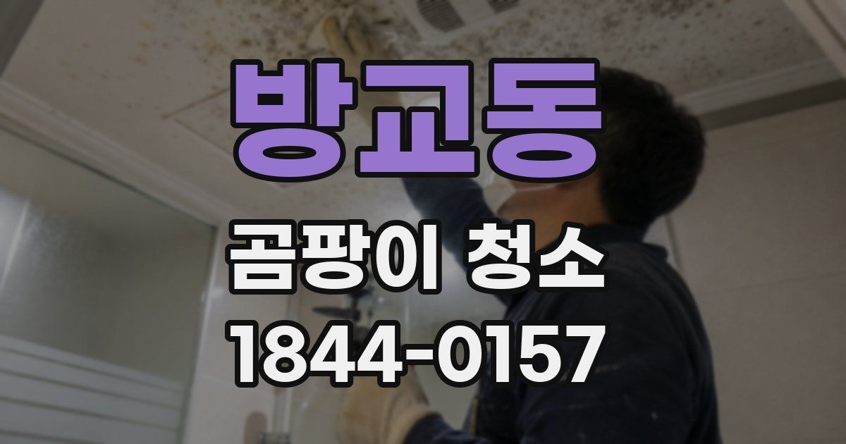 방교동 곰팡이 청소