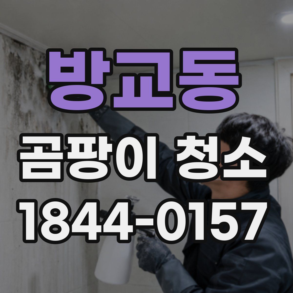 방교동 곰팡이 청소