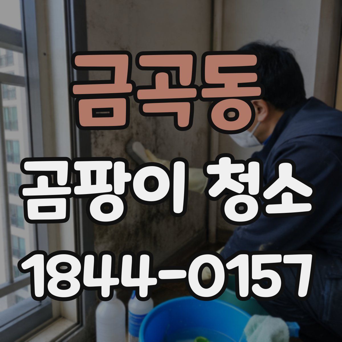 금곡동 곰팡이 청소