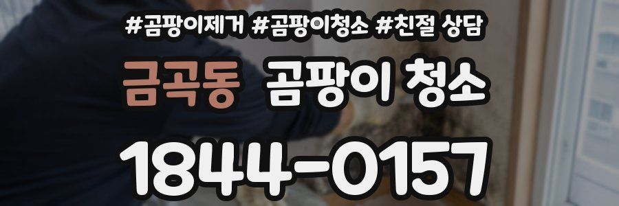 금곡동 곰팡이 청소