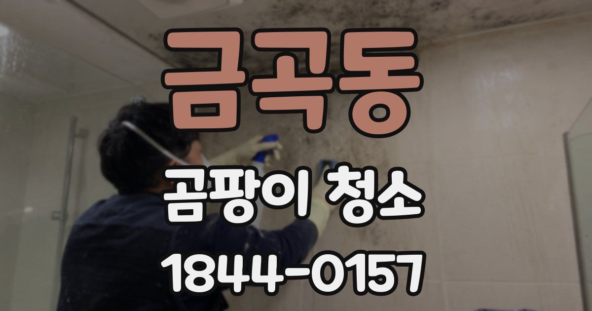 금곡동 곰팡이 청소